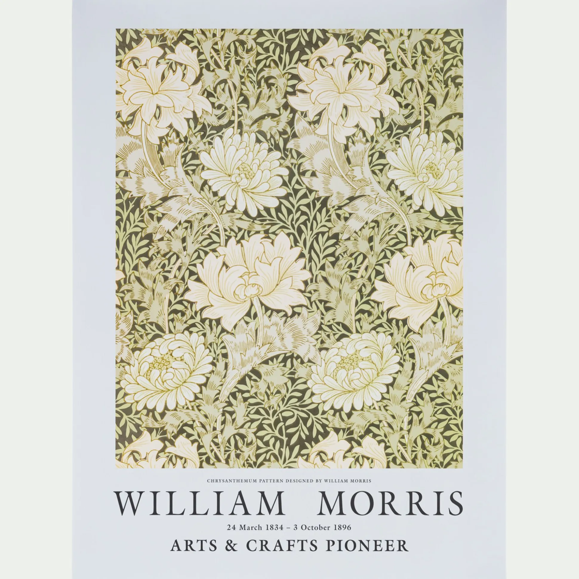 Affiche chrysanthèmes 50x70cm - vert garrigue