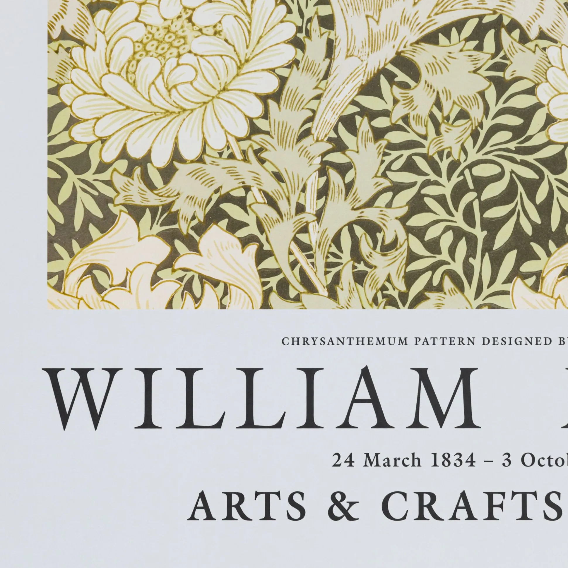 Affiche chrysanthèmes 50x70cm - vert garrigue