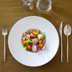 Assiette à risotto en porcelaine qualité hôtelière D27cm - blanc