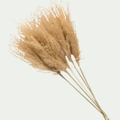 Botte de roseau séchée H55cm - beige