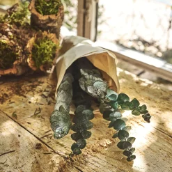Botte d'eucalyptus préservée 55cm - vert