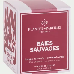Bougie parfumée senteur baies sauvages 180g