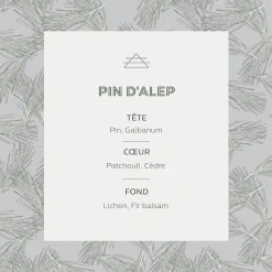 Bougie parfumée senteur Pin d'Alep 160g