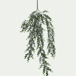 Branche tombante d'eucalyptus artificielle L75cm - vert
