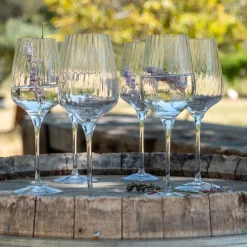 Coffret de 6 verres à pied tulipe en cristallin 45cl - transparent