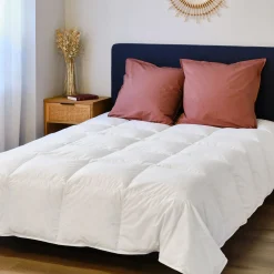 Couette tempérée en duvet et plumettes de canard 260x240cm - blanc