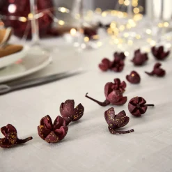 Déco végétale fruits secs - rouge