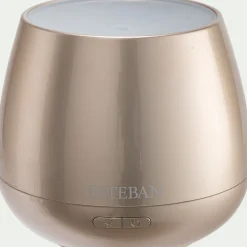 Diffuseur brume de parfum électrique - gris argenté