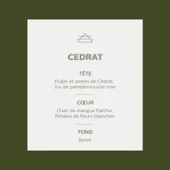 Diffuseur de parfum senteur Cédrat 100ml