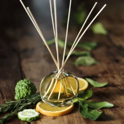 Diffuseur de parfum senteur Bois d'Orient 100ml