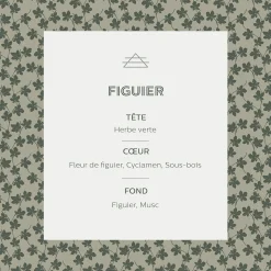 Diffuseur de parfum senteur Figuier 100ml