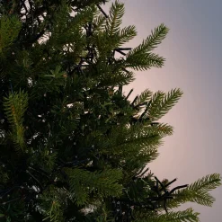 Guirlande lumineuse grappe 5,60m - jaune