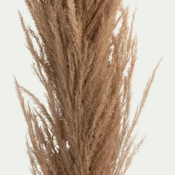 Herbe de pampa séchée - naturel H160 cm