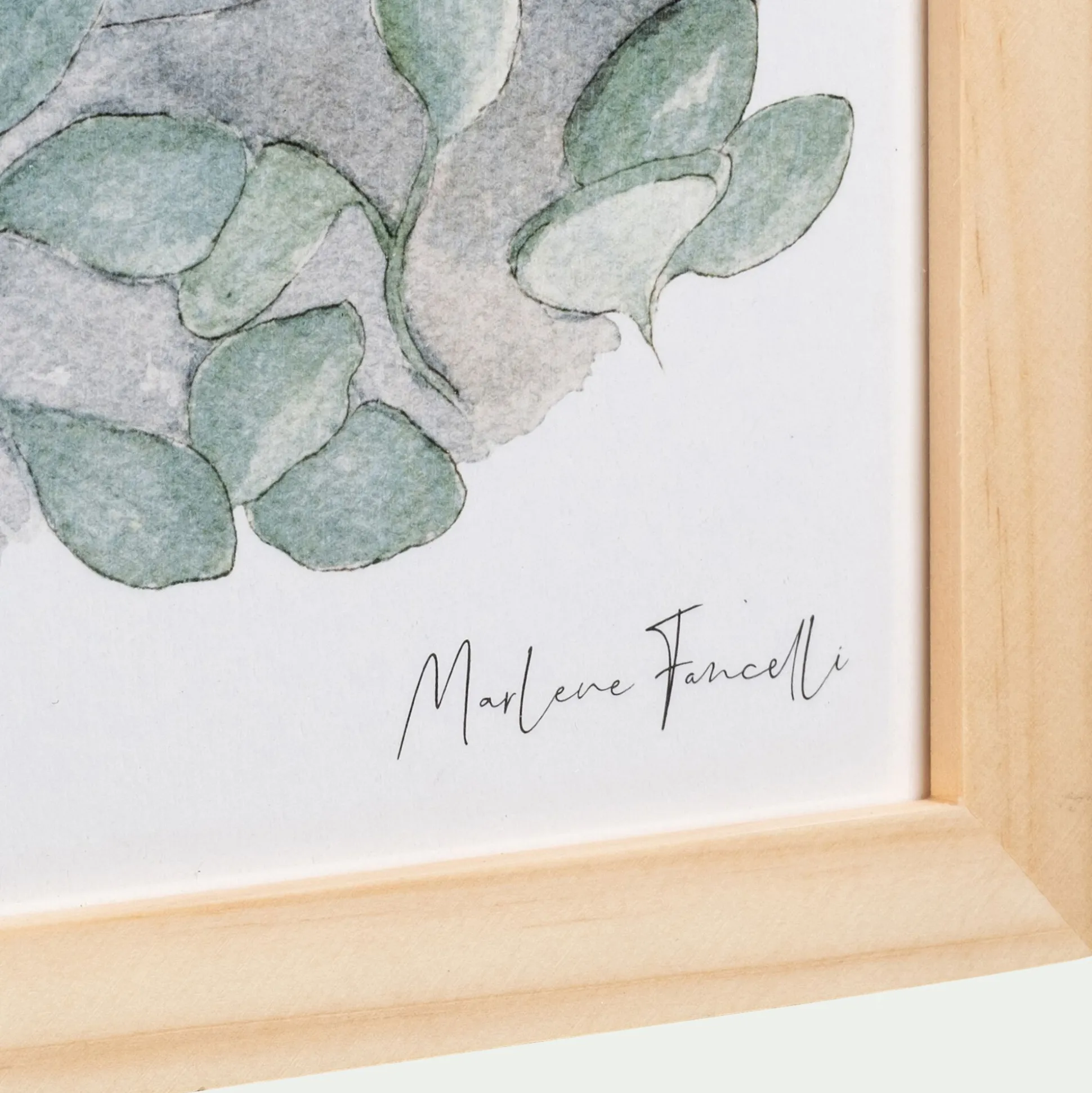 Image aquarelle encadrée famille de koalas - A4