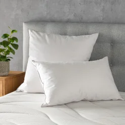 Oreiller ferme en plumettes de canard 65x65cm - blanc