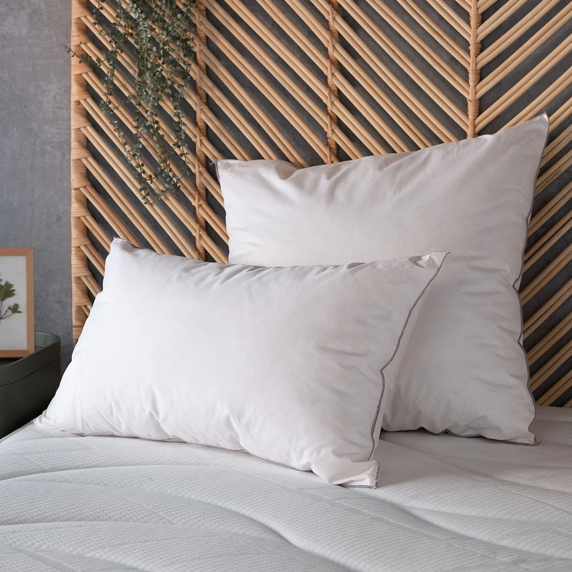 Oreiller moelleux en plumettes de canard - blanc 65x65cm