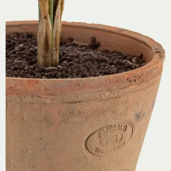 Palmier artificiel H75cm - vert