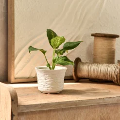 Petit vase en grès strié H7,8cm - blanc