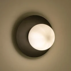 Plafonnier électrifié en acier D25cm - noir