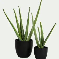 Plante artificielle aloe - vert H52cm