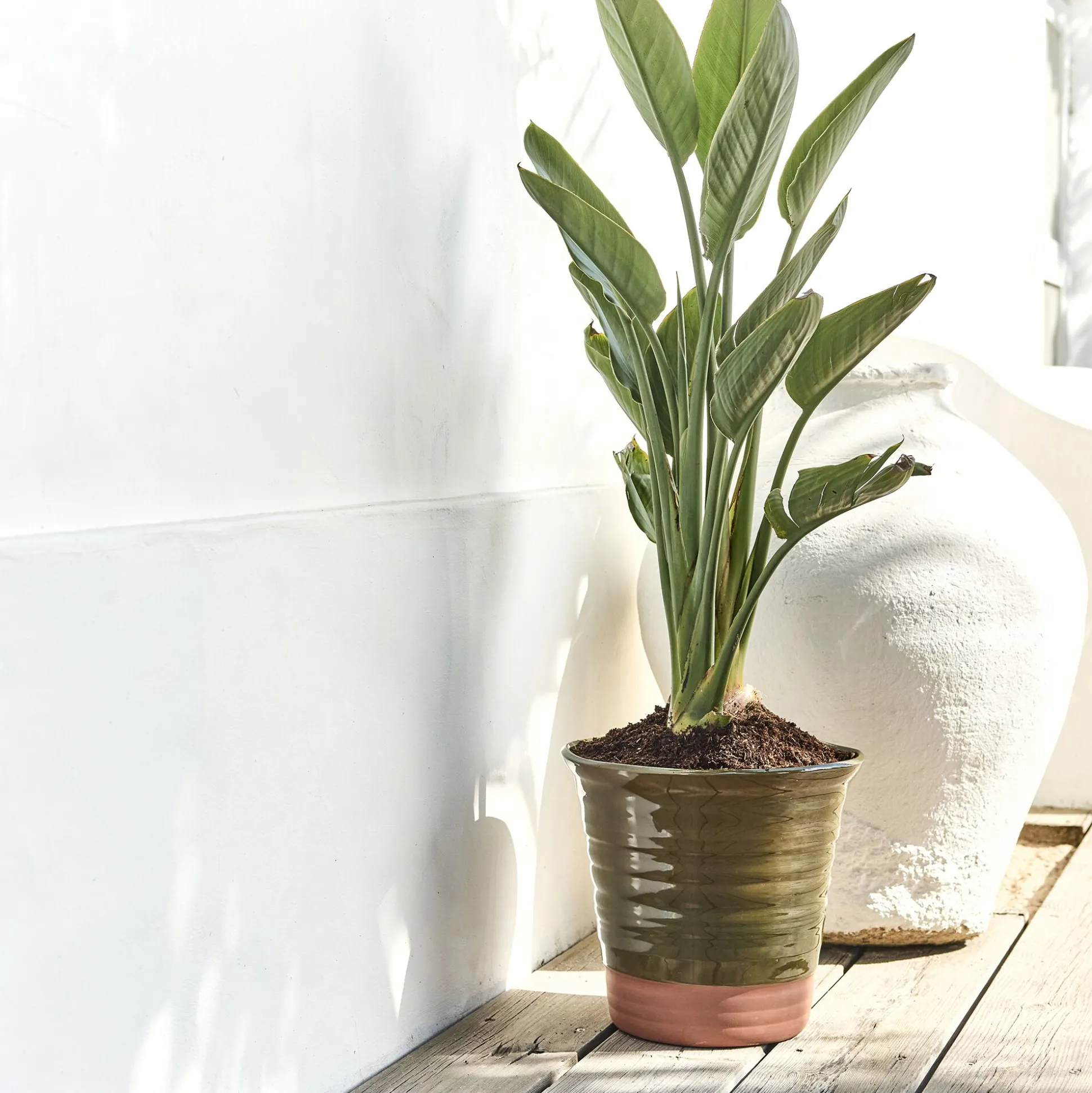 Pot bicolore en terre cuite D29cm - vert