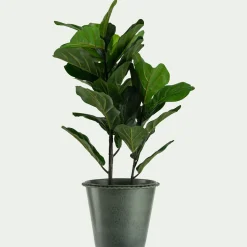 Pot en terre cuite D30cm - vert