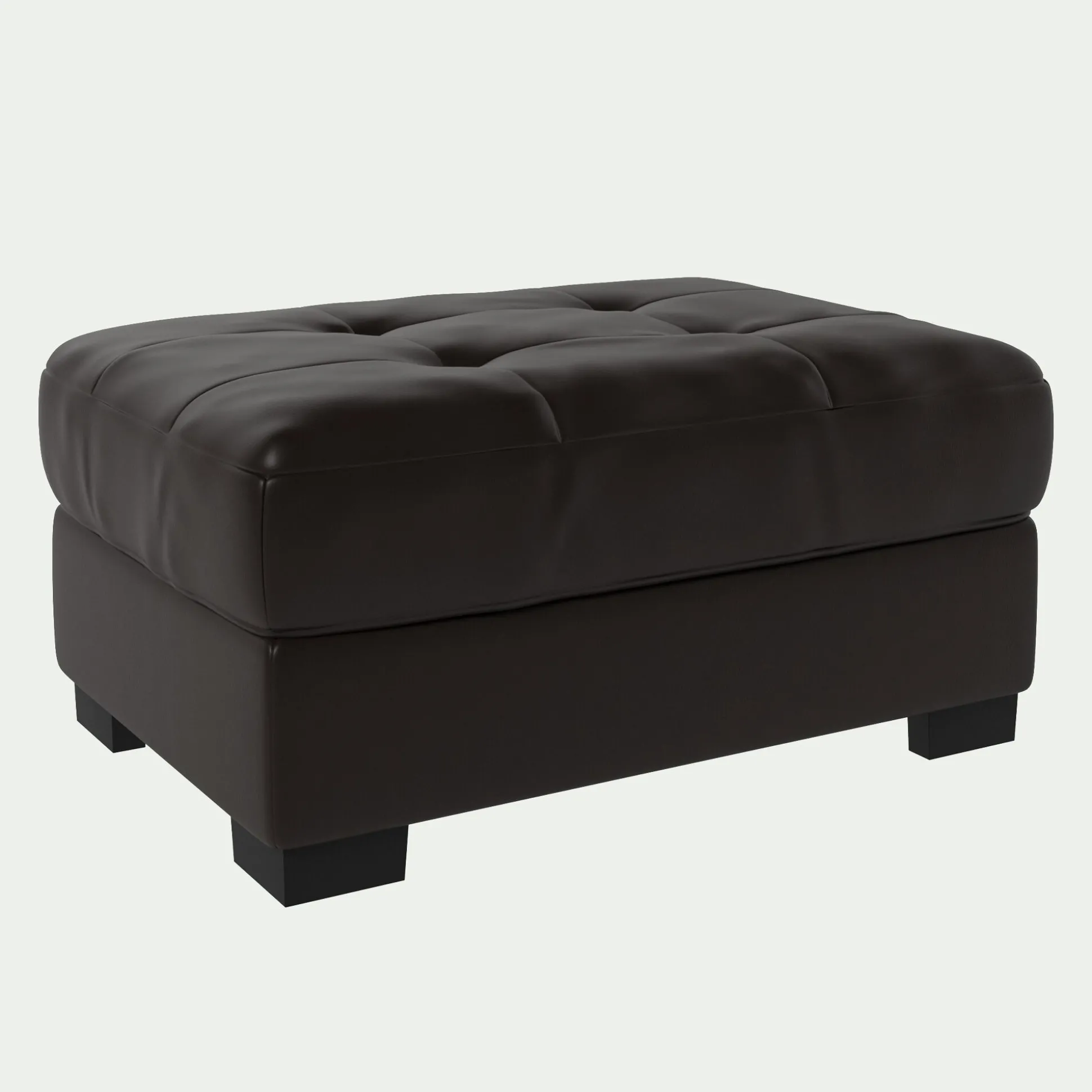 Pouf en cuir avec coffre - marron