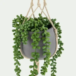 Succulente suspendue artificielle - vert H73cm
